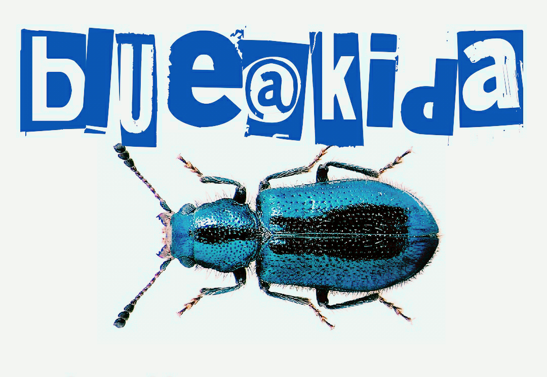 Blue@kida